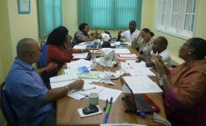 CEBO Workshop_021012