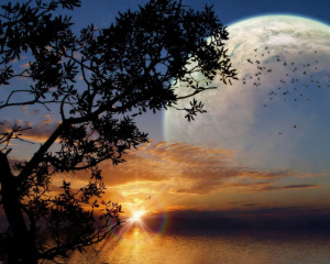 Photo courtesy: http://www.layoutsparks.com/pictures/sunset-0
