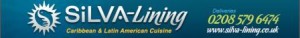 Silva Lining logo