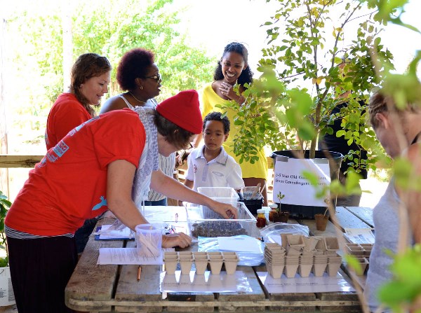Over 100 sprouted Gaïac seeds were given away at the Festival's Tree of Life Workshop. (Photo by Marc Petrelluzzi)