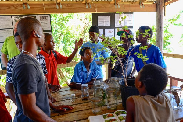 Les Fruits de Mer partnered with Sandy Ground’s Madtwoz Association to bring youth to the event. (Photo by Marc Petrelluzzi)