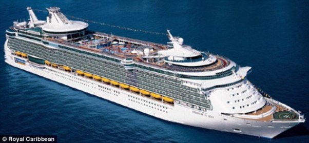 There were more than 4,000 passengers and 1,500 crew members on board Independence of the Seas (pictured in a file photo) at the time. Photo courtesy http://www.dailymail.co.uk/