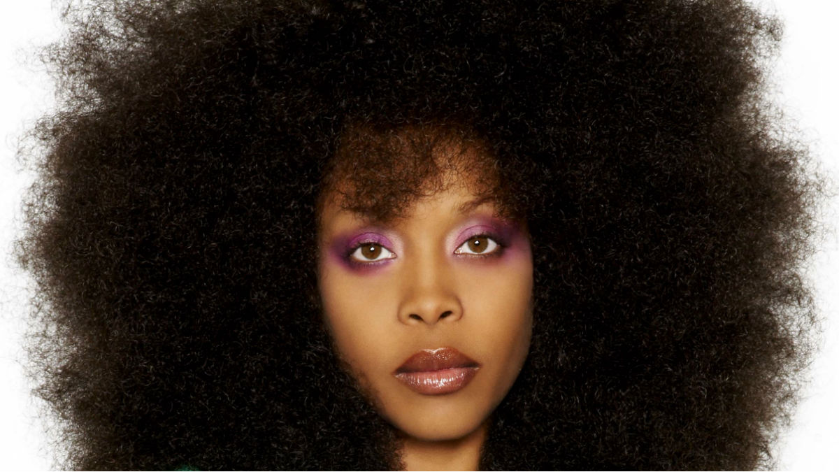 R B Singer Erykah Badu Sparks Outrage With School Girls Comments
